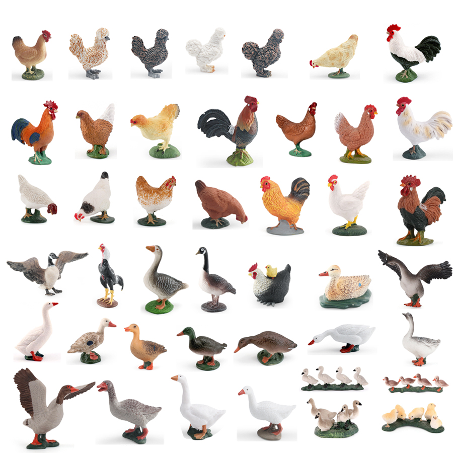Simulation Farm Poultry Animal - Interior Design House avaliação e preço